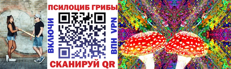 Галлюциногенные грибы прущие грибы omg ссылка Миллерово как найти
